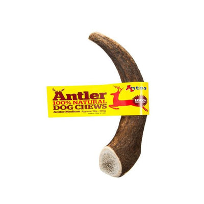 Antos Antlers - Extra Large (220g) - Cheshire Game Antos