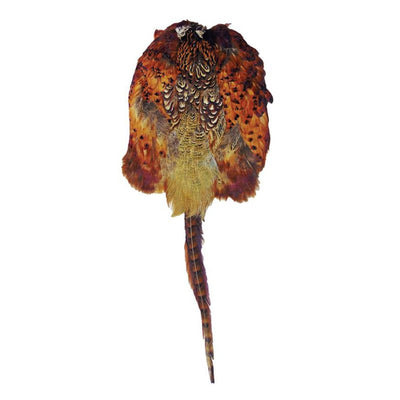 Pheasant Skin Pelt - Cheshire Game Bisley